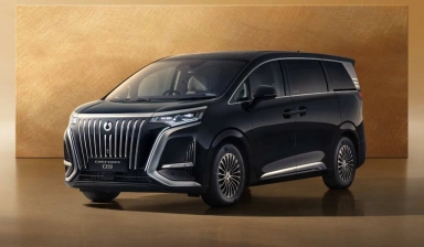 2024 Denza D9